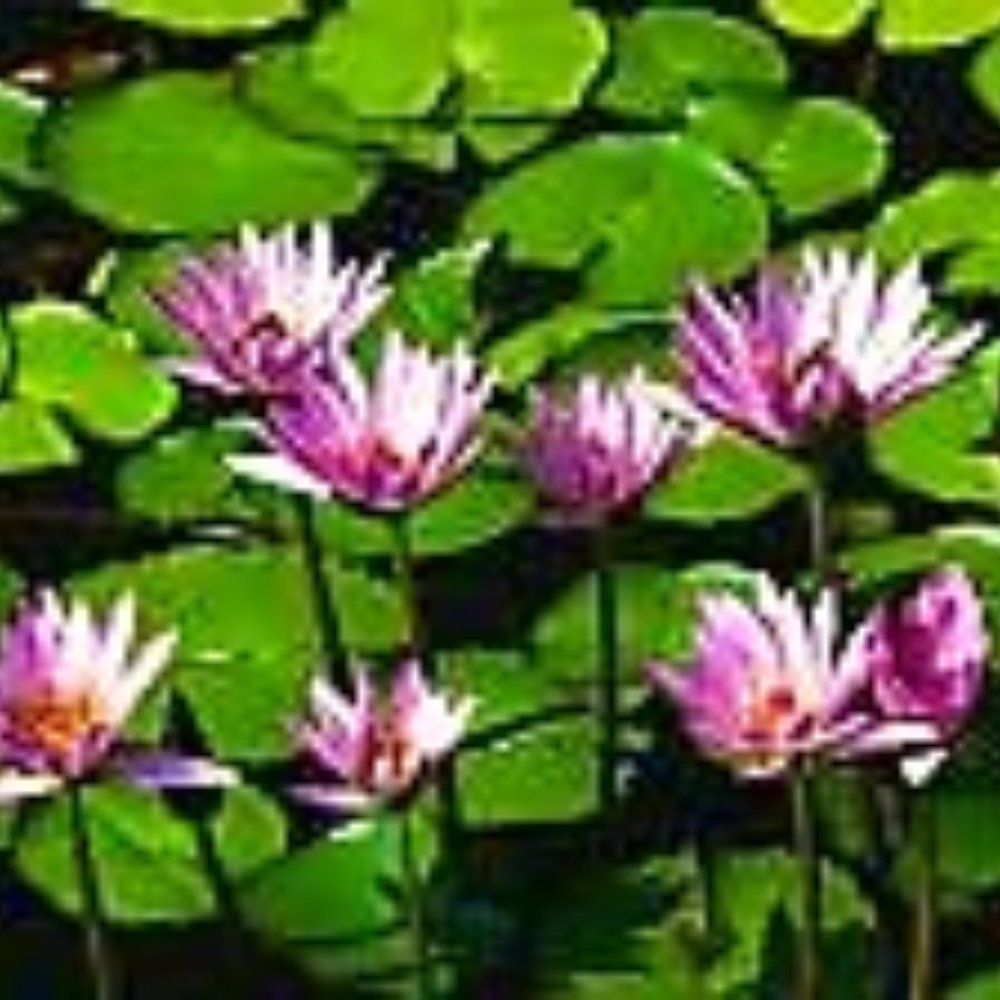 Meet your Posher, Sherri